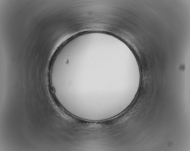 X0000096671085200802261446