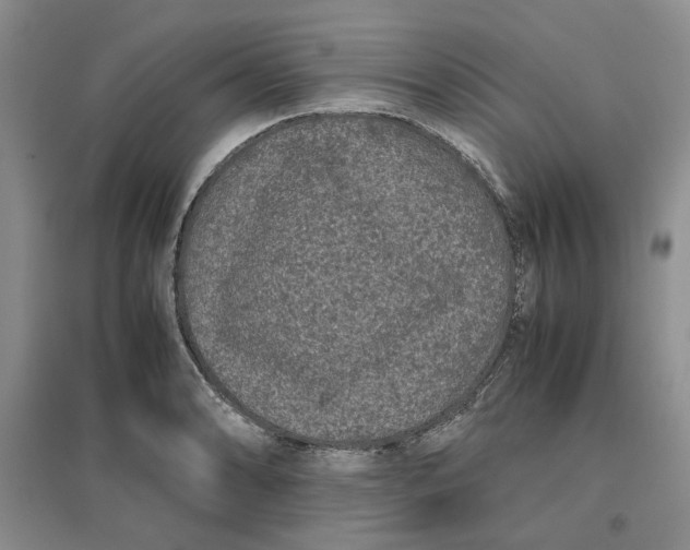 X0000096671086200802261446