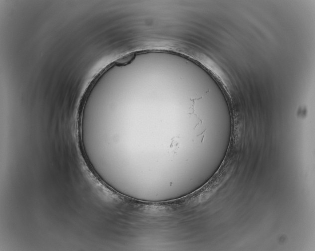 X0000096671088200802261446