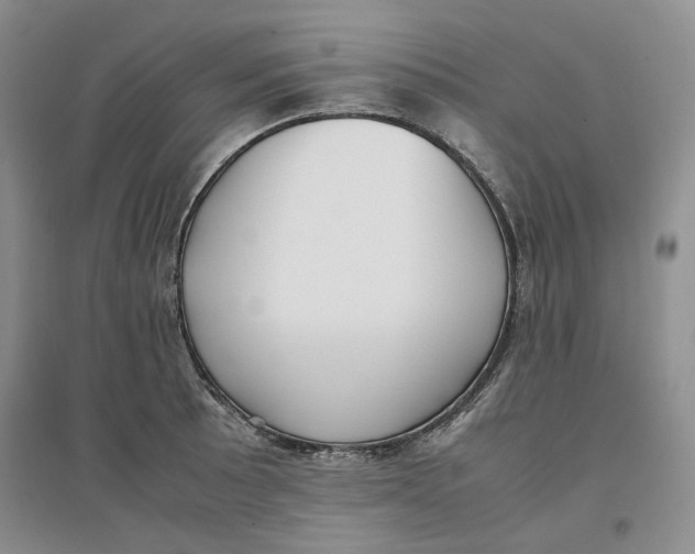 X0000096671089200802261446