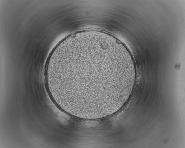 X0000096671090200802261446