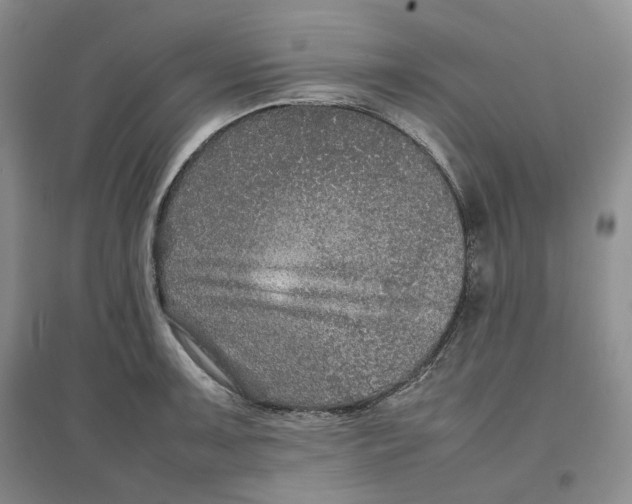 X0000096671091200802261446