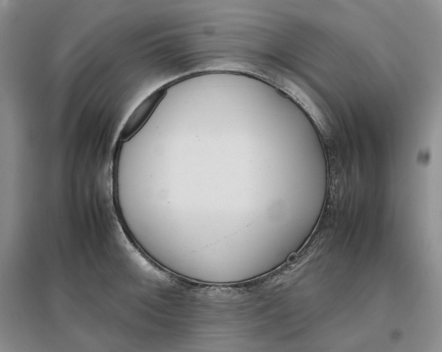 X0000096671092200802261446