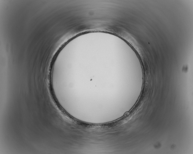 X0000096671093200802261446