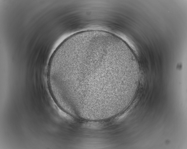 X0000096671094200802261446