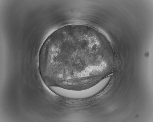 X0000096671095200802261446