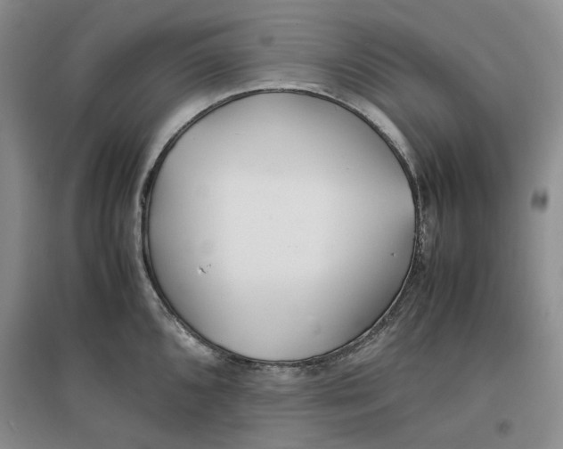 X0000096671096200802261446