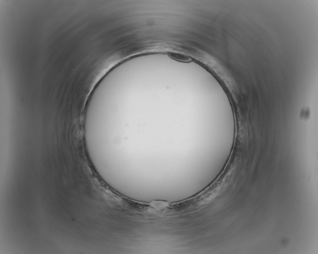 X0000096671097200802261446