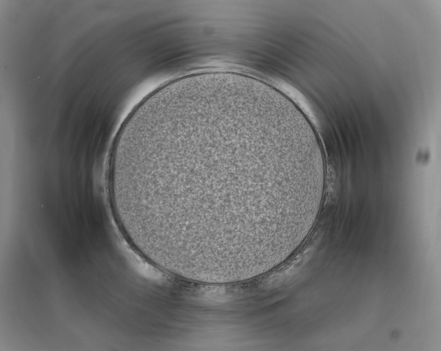 X0000096671098200802261446