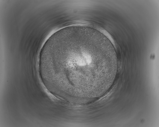 X0000096671099200802261446