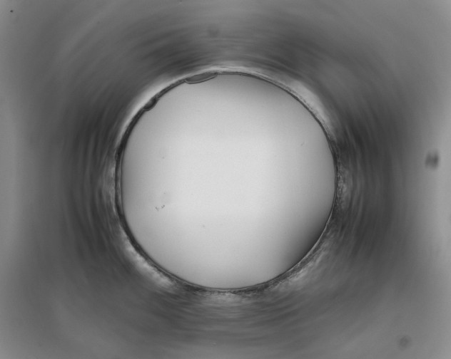 X0000096671100200802261446