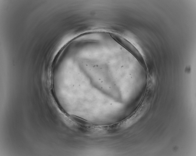 X0000096671101200802261446