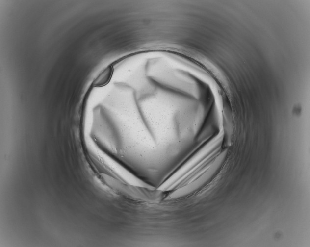 X0000096671102200802261446