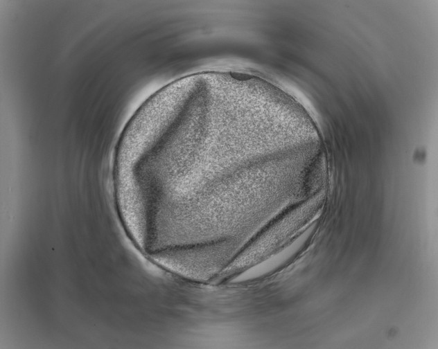 X0000096671103200802261446