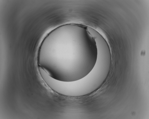 X0000096671104200802261446