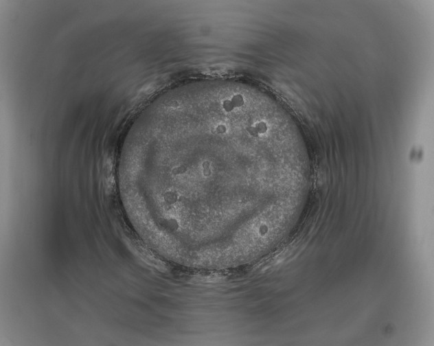 X0000096671106200802261445