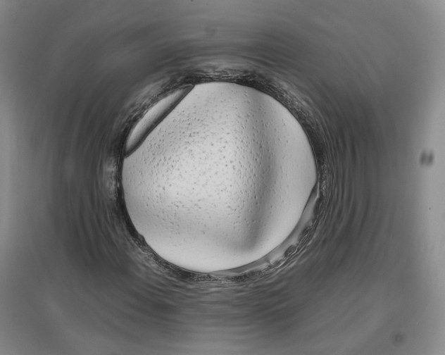 X0000096671108200802261445