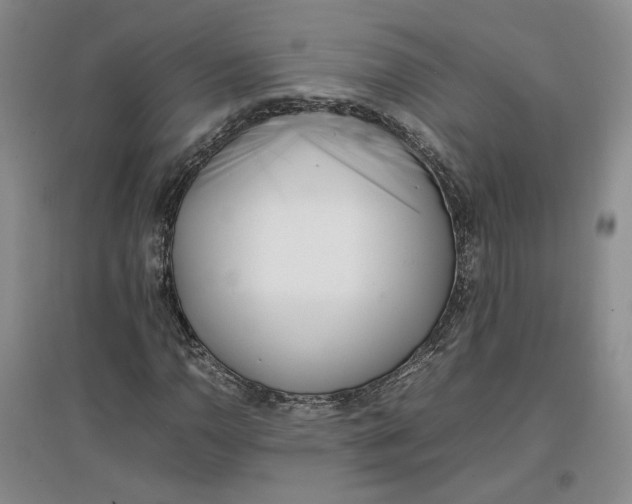 X0000096671110200802261445