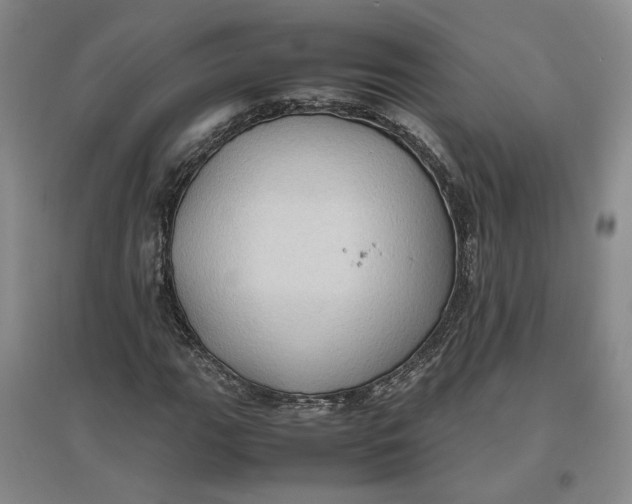 X0000096671111200802261445