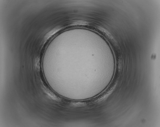 X0000096671113200802261445