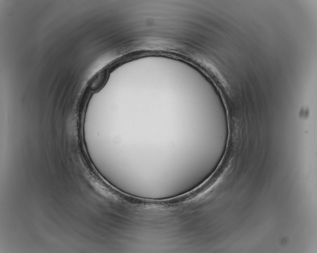 X0000096671114200802261445