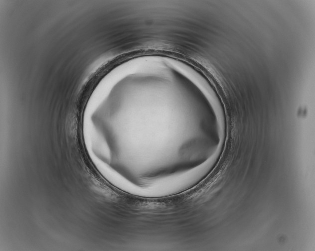 X0000096671115200802261445