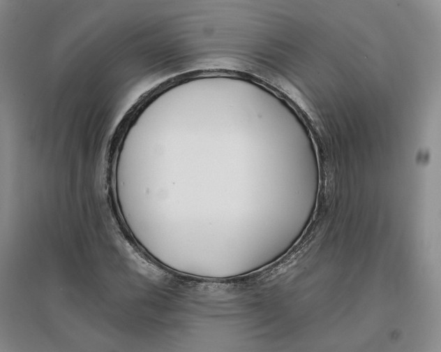 X0000096671116200802261445