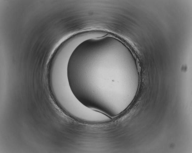 X0000096671118200802261445