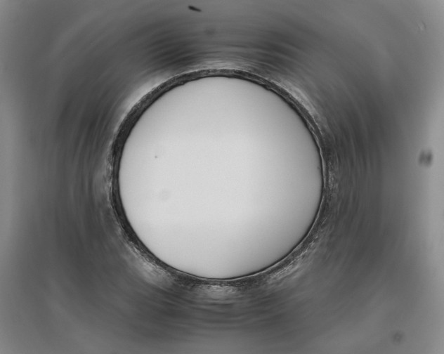 X0000096671119200802261445