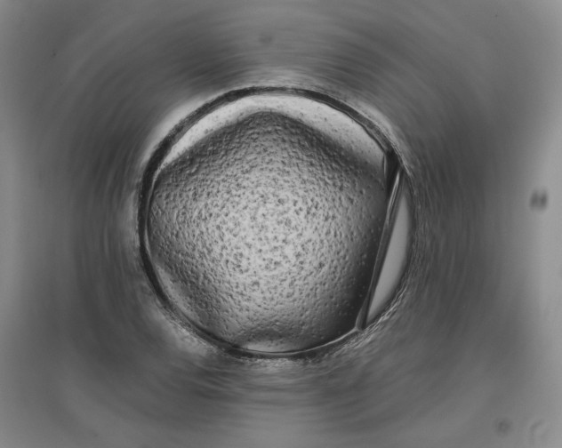 X0000096671120200802261446