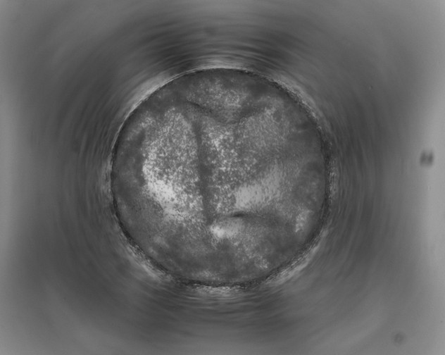 X0000096671121200802261446