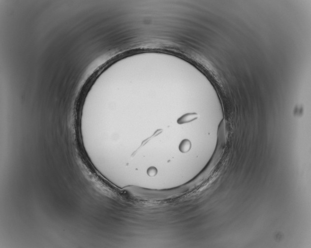 X0000096671122200802261446