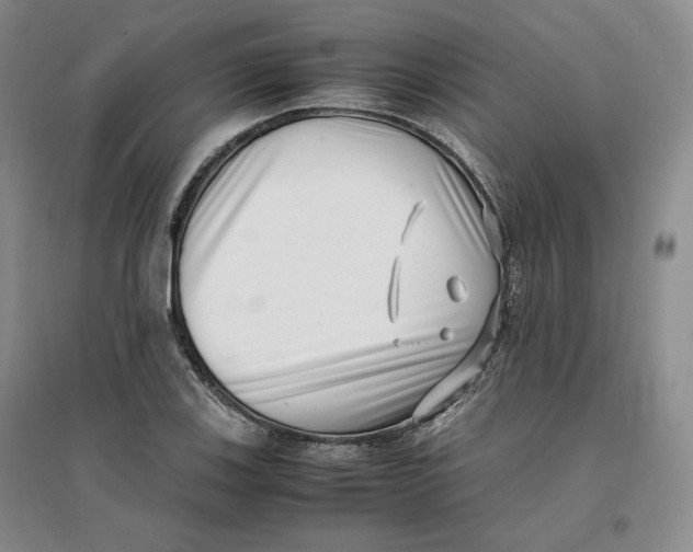 X0000096671123200802261446