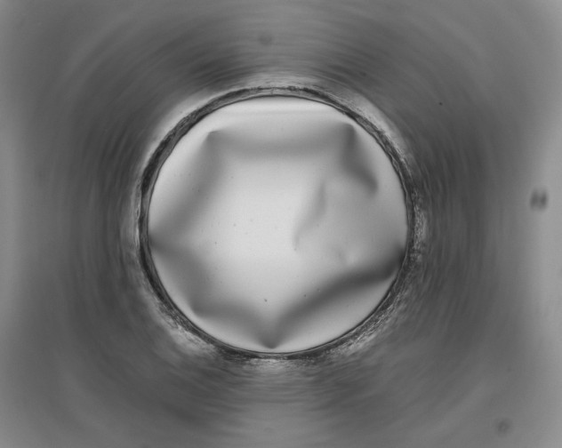 X0000096671124200802261446