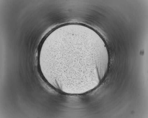 X0000096671126200802261446