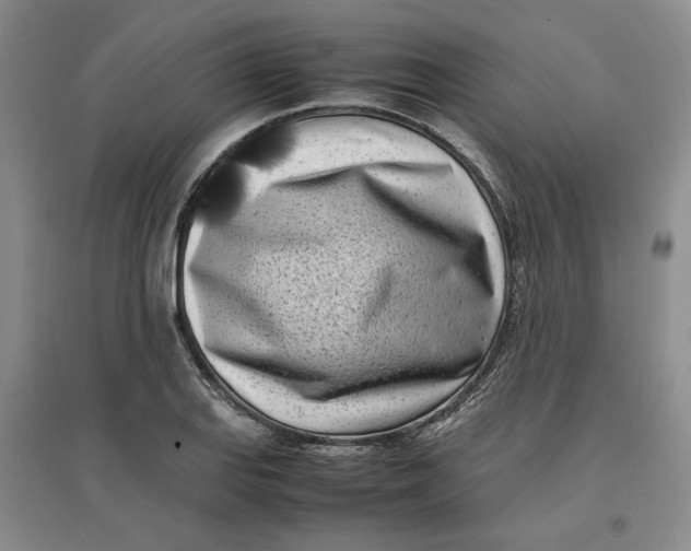 X0000096671127200802261446