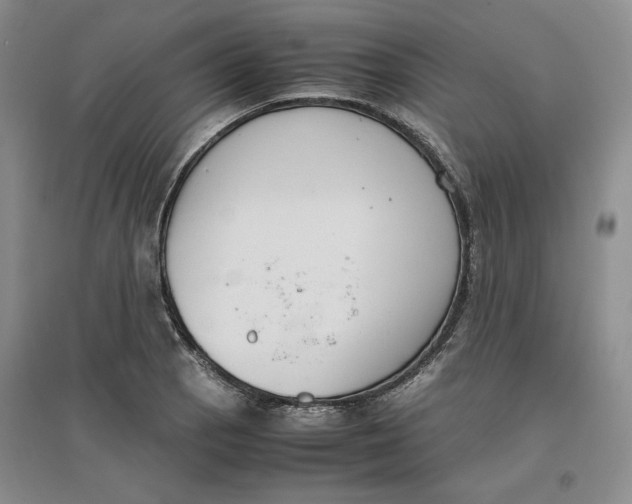 X0000096671129200802261446