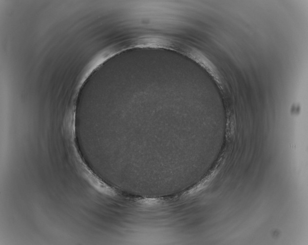 X0000096671130200802261446