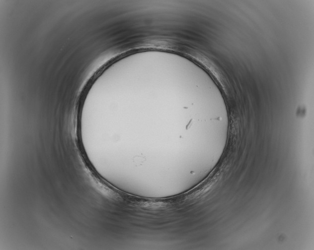 X0000096671131200802261446