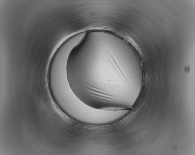 X0000096671132200802261446