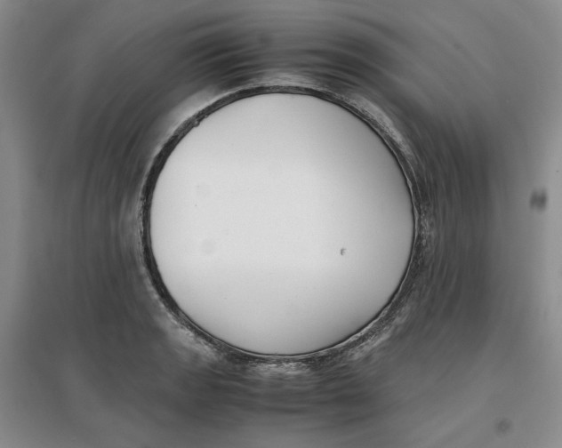 X0000096671133200802261446