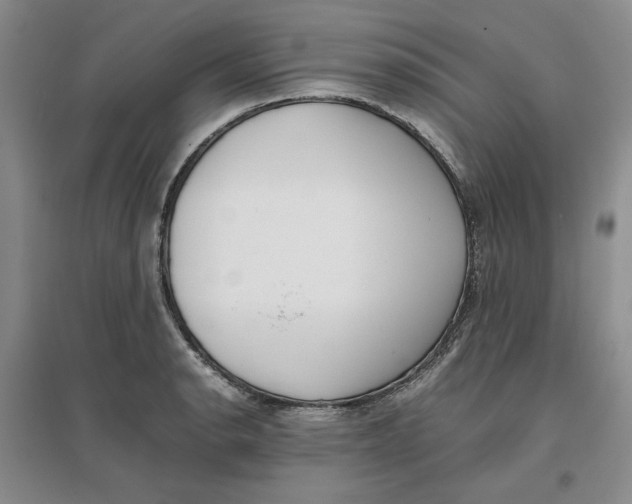 X0000096671134200802261446