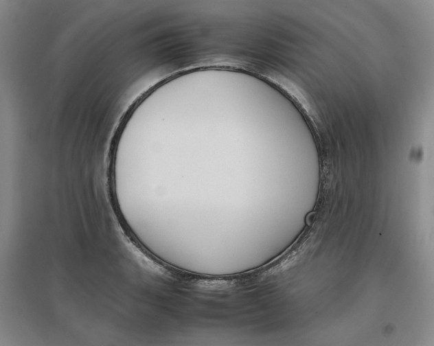 X0000096671135200802261446