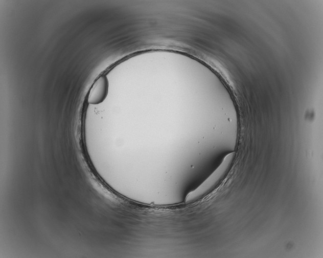 X0000096671136200802261446