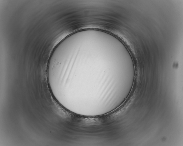 X0000096671137200802261446