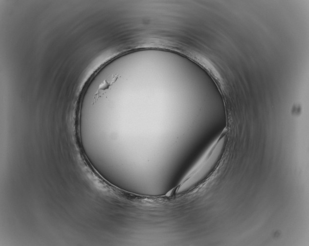 X0000096671138200802261446