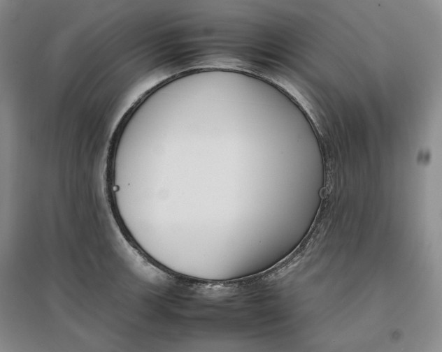 X0000096671139200802261446