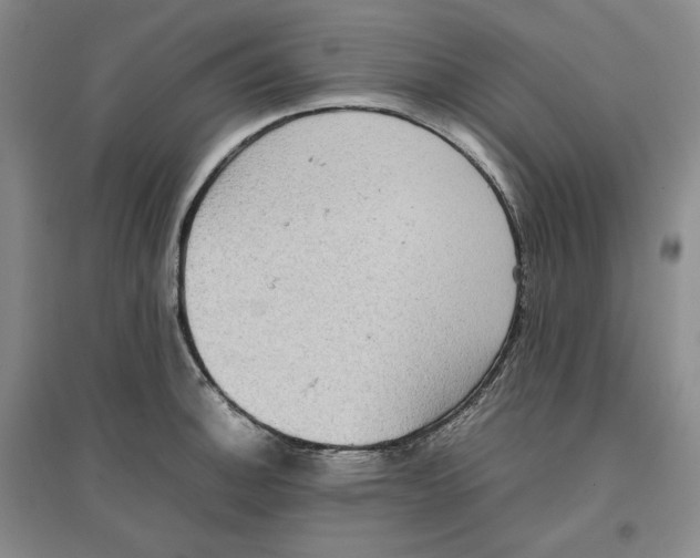 X0000096671140200802261446