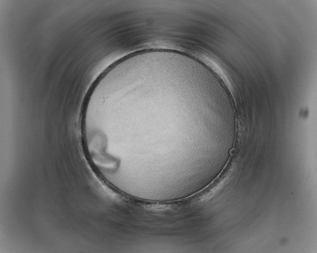 X0000096671141200802261446