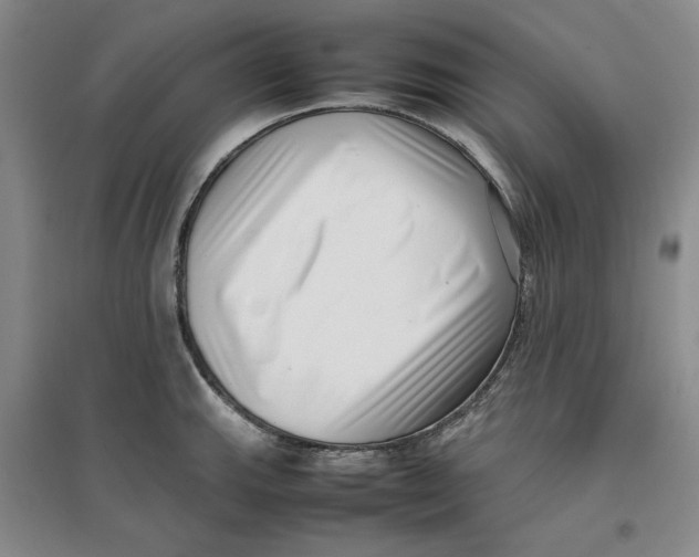 X0000096671143200802261446